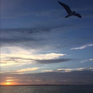 Meet your Posher, Ben